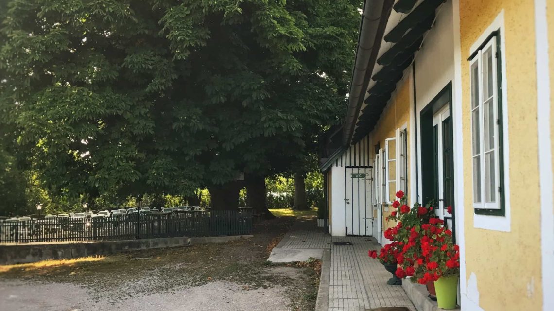 Ausflug Mit Hund Kiel