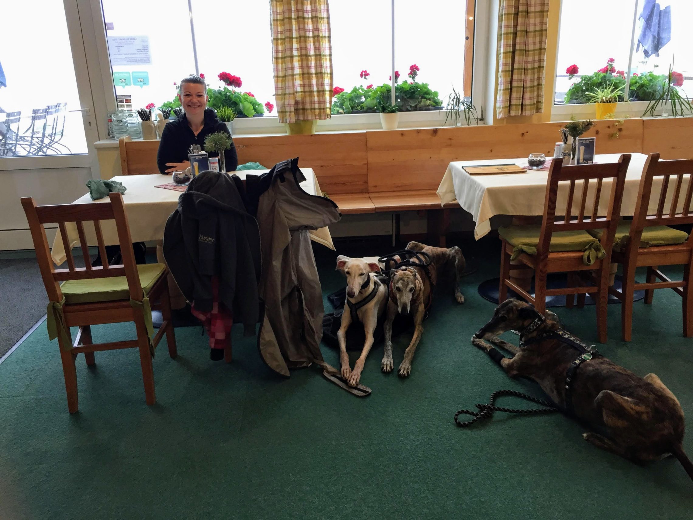 Ohlenstedter See Hunde Erlaubt Landhotel &amp; Restaurant Huber am