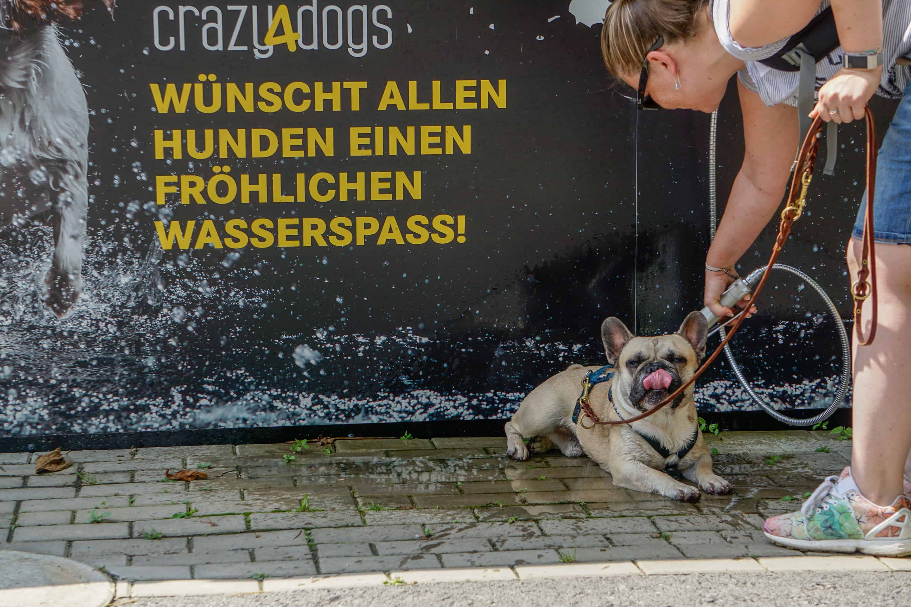 Ausflug mit Hund in den Tierpark Herberstein, Steiermark Hundereise