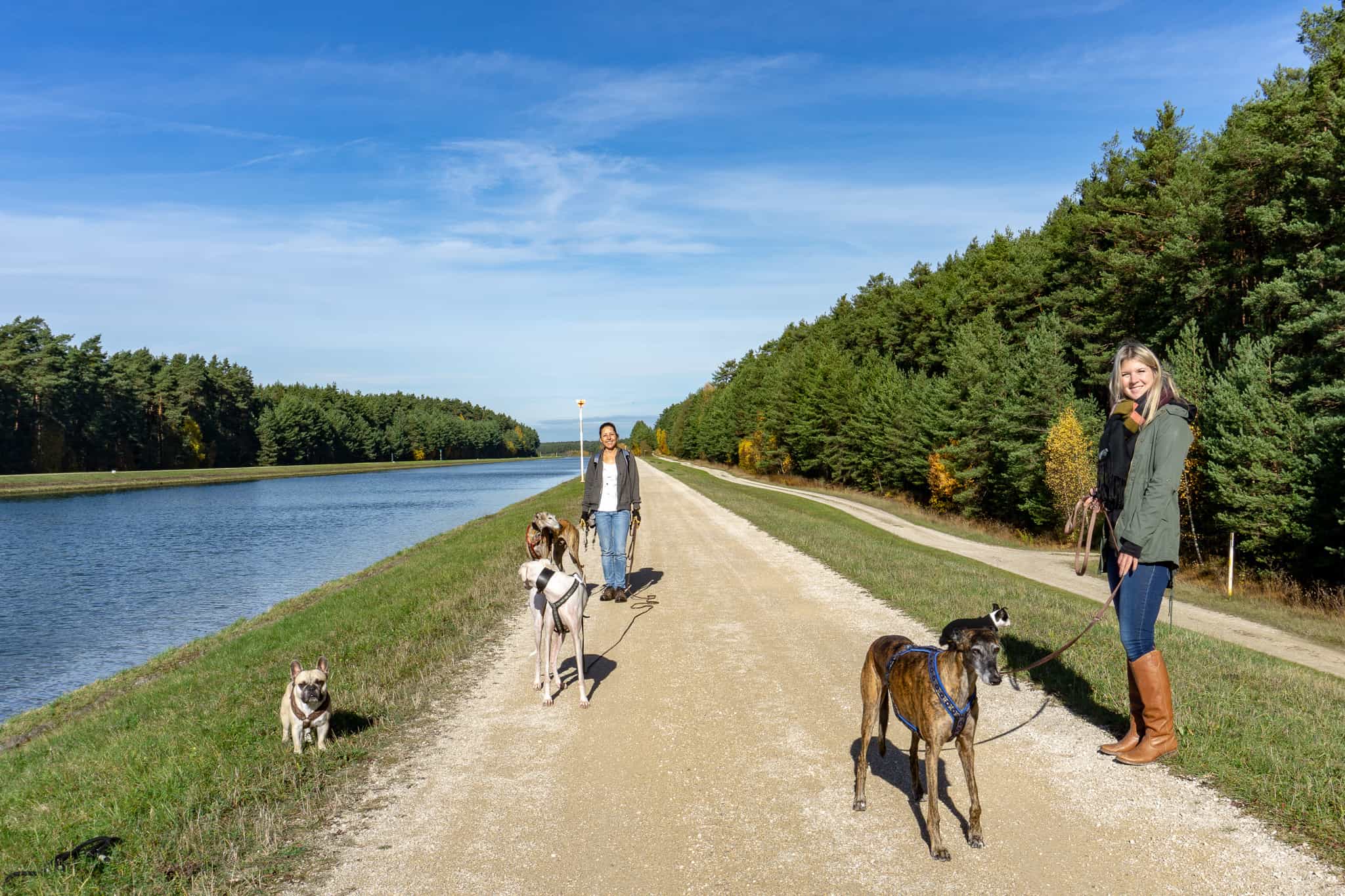 Hundereise-Donau Main Kanal