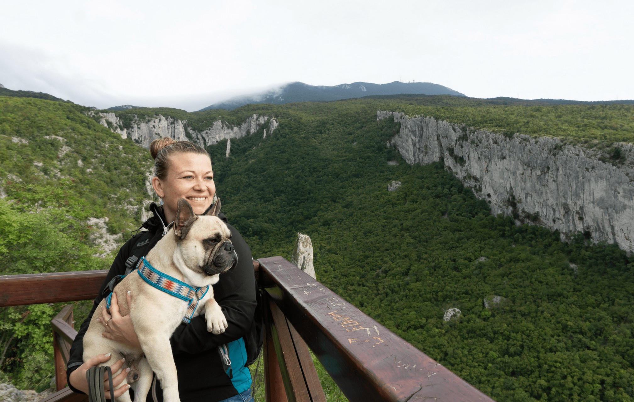 Urlaub mit Hund Kroatien Hundereise