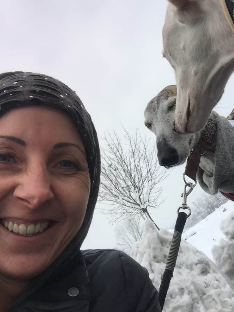 ab welchem alter mit hund fahrrad fahren